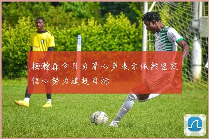 杨瀚森今日分享心声表示依然坚定信心努力追赶目标
